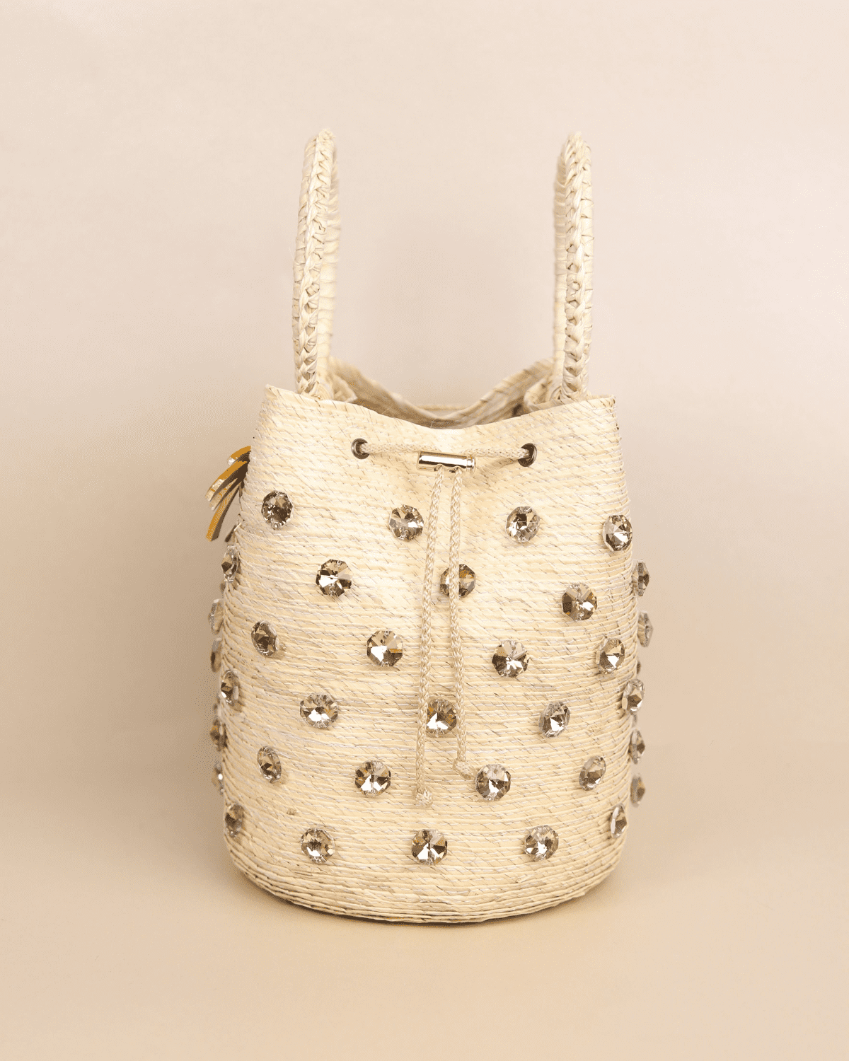 Classic Sparkle Bag